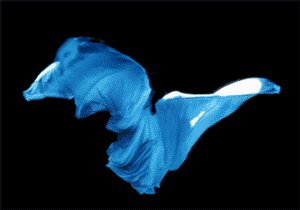 La Loie Fuller La Loie Fuller